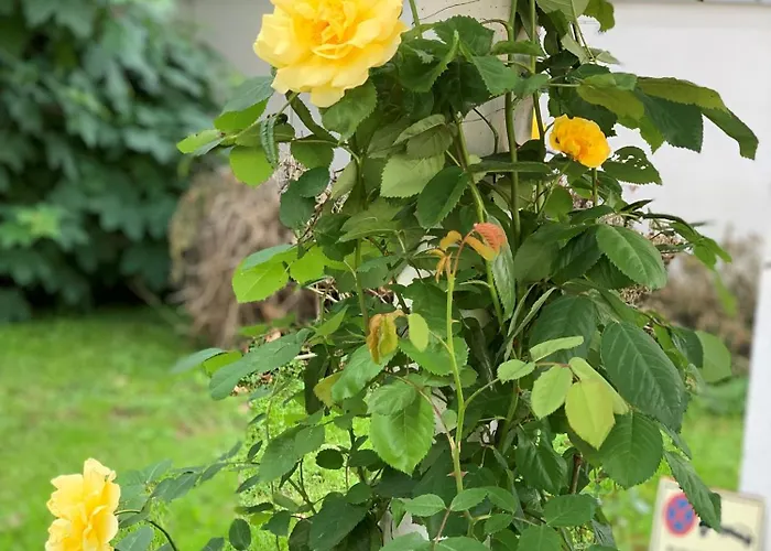 Skyview - Self Check In - Near Centre Graz