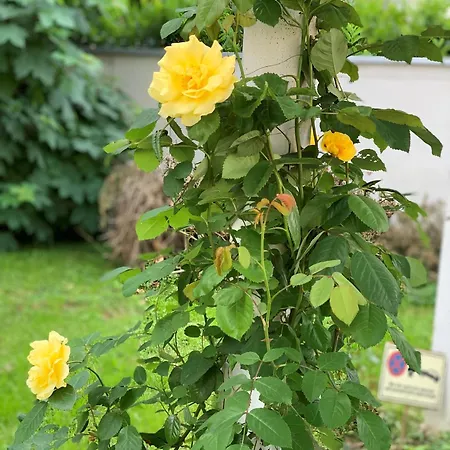 Skyview - Self Check In - Near Centre Graz